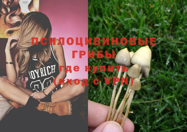 а пвп мука Абаза