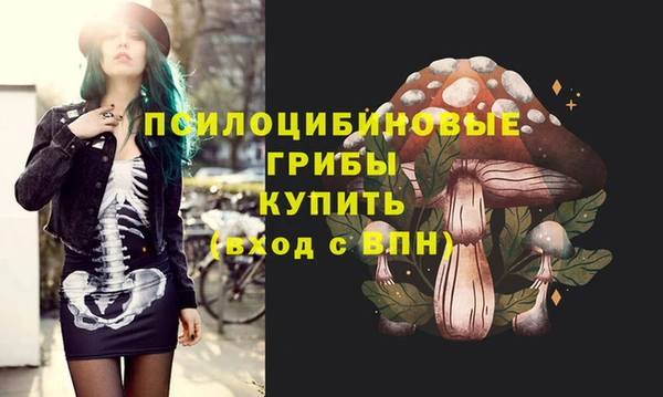 крисы Нефтекумск