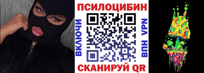 Псилоцибиновые грибы Psilocybe Сертолово