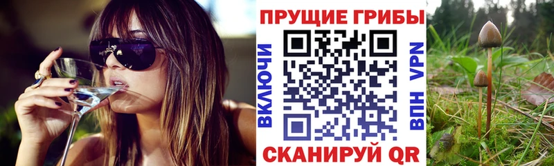 Псилоцибиновые грибы мухоморы  купить   Сертолово 