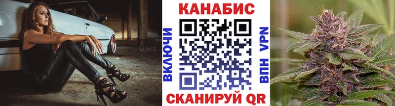 Бошки Шишки план  Сертолово 
